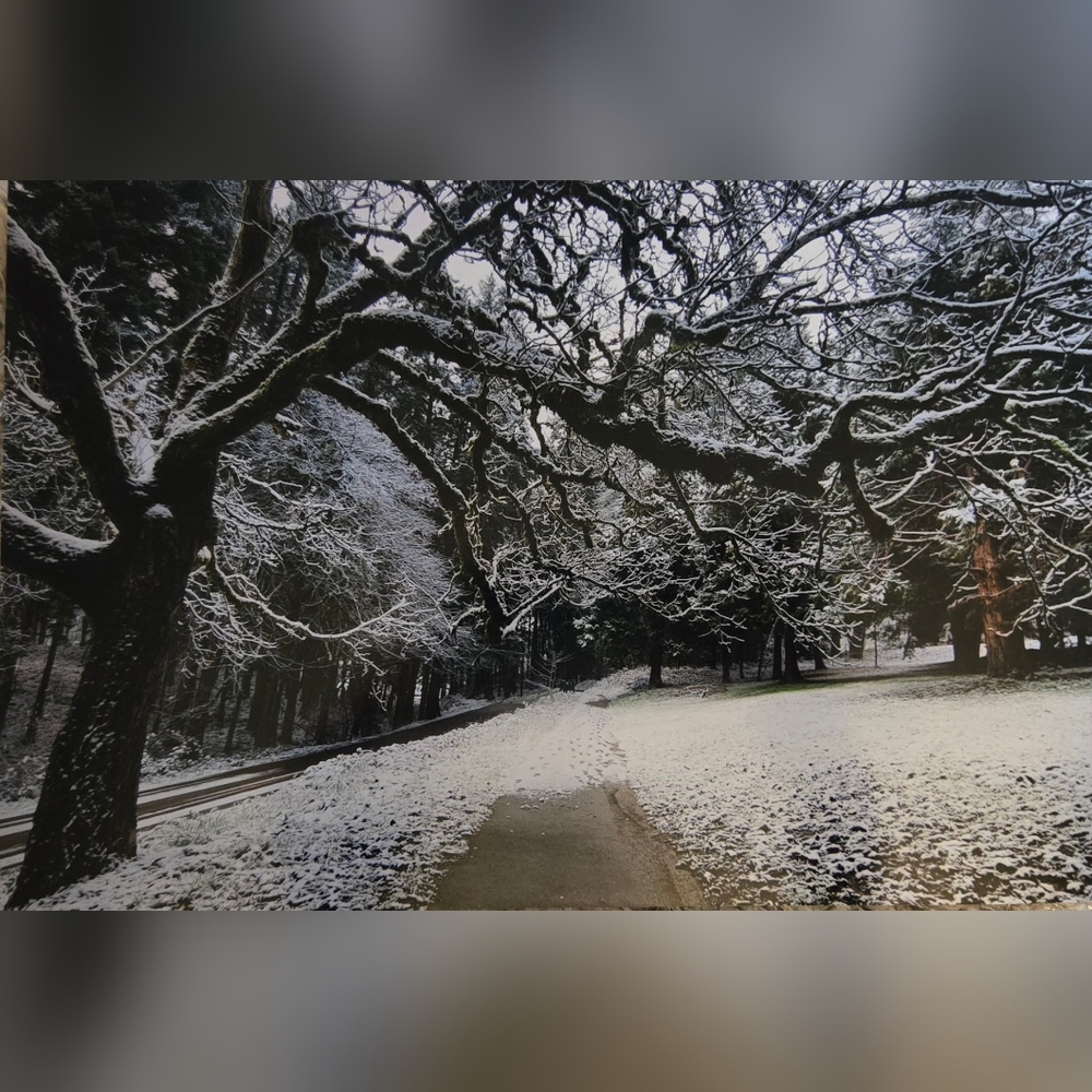 Original photography 12 x 8 (Winter)